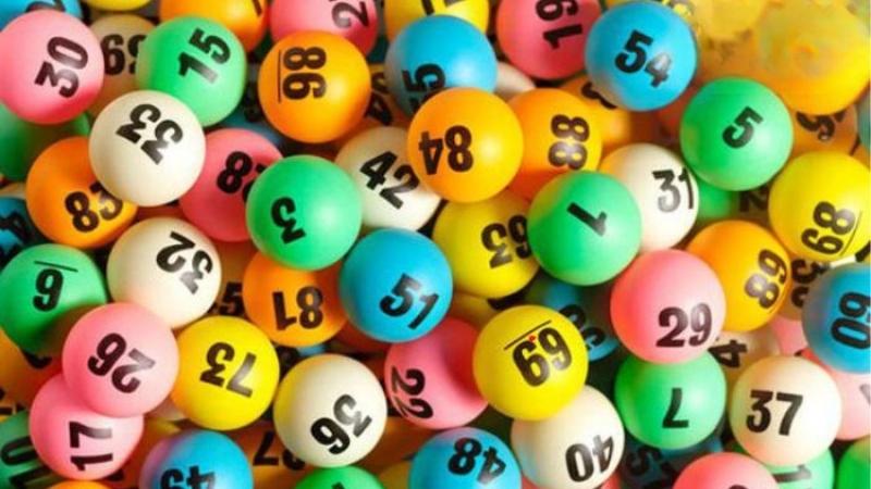 Chiến Thuật Nuôi Dàn Đề 3 Càng Nuôi Quanh Năm Cực Hot