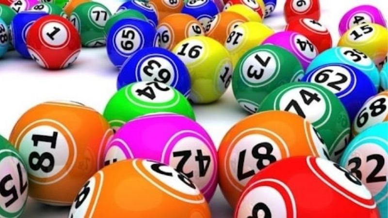 Chiến Thuật Nuôi Dàn Đề 3 Càng Nuôi Quanh Năm Cực Hot