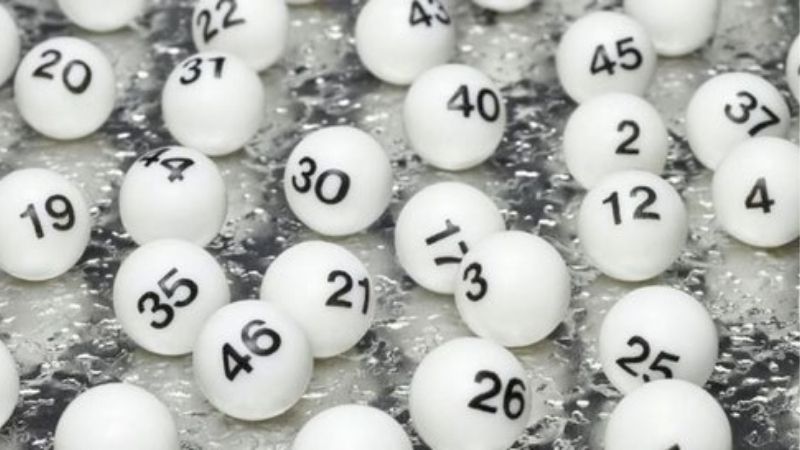 Chiến Thuật Nuôi Dàn Đề 3 Càng Nuôi Quanh Năm Cực Hot