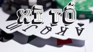 Tổng Quan Về Game Bài Xì Tố