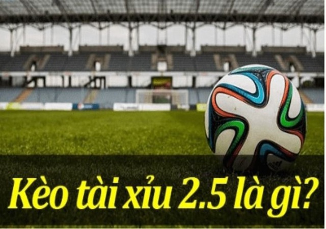 Bản Chất Kèo Tài Xỉu 2.5 Trái Go88